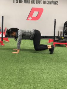 Bear Crawl Core Exercise